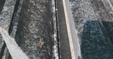 平顶山英国棕别墅线条